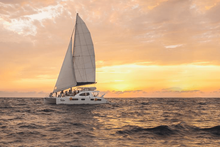 Sailing Gulet Charter